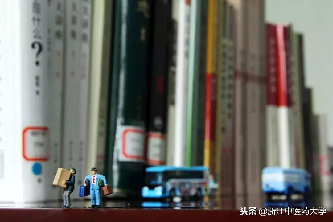 用镜头诉说中医药之美