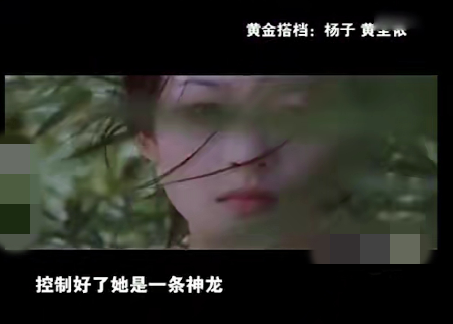 黄圣依和杨子经典语录,黄圣依演杨子的样子