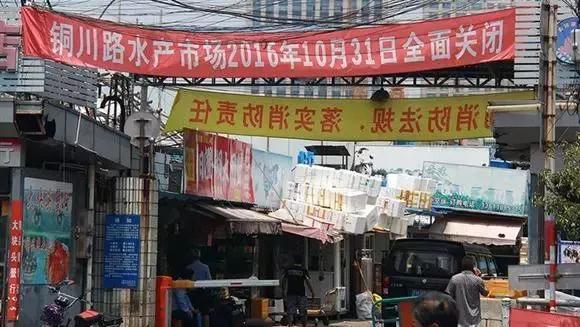 上海真如来历,上海真如发展前景