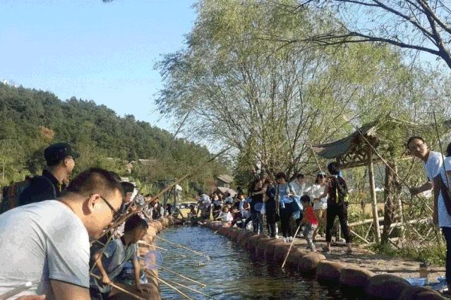 宁波新奢酒店,宁波新开一家度假酒店