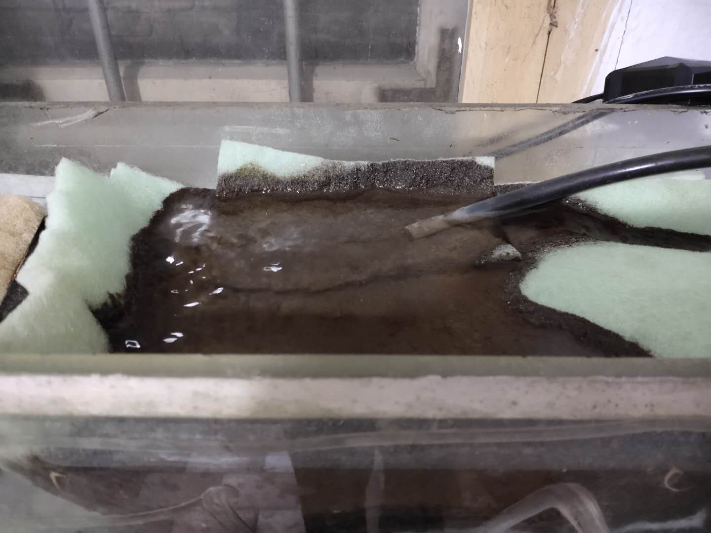 养观赏鱼水需要过滤吗,过滤箱养鱼漏水怎么处理