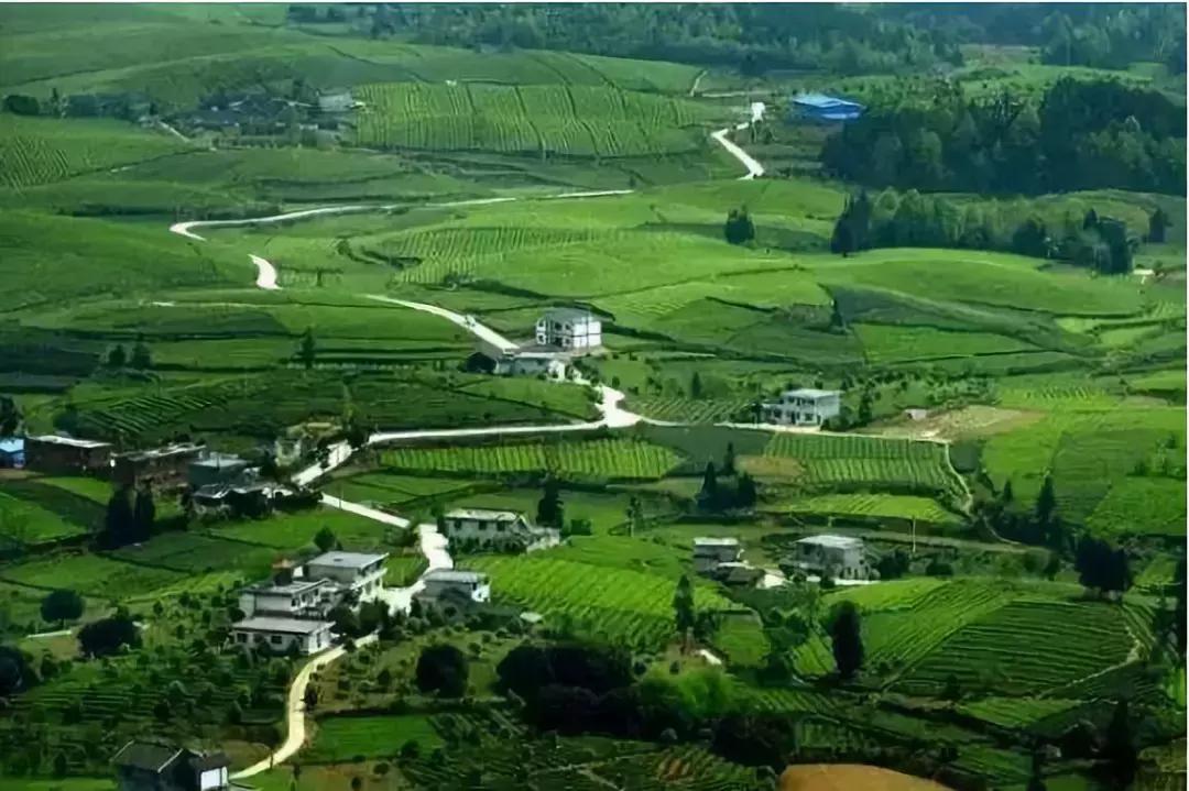 田园综合体农业项目规划,全国田园综合体建设现状