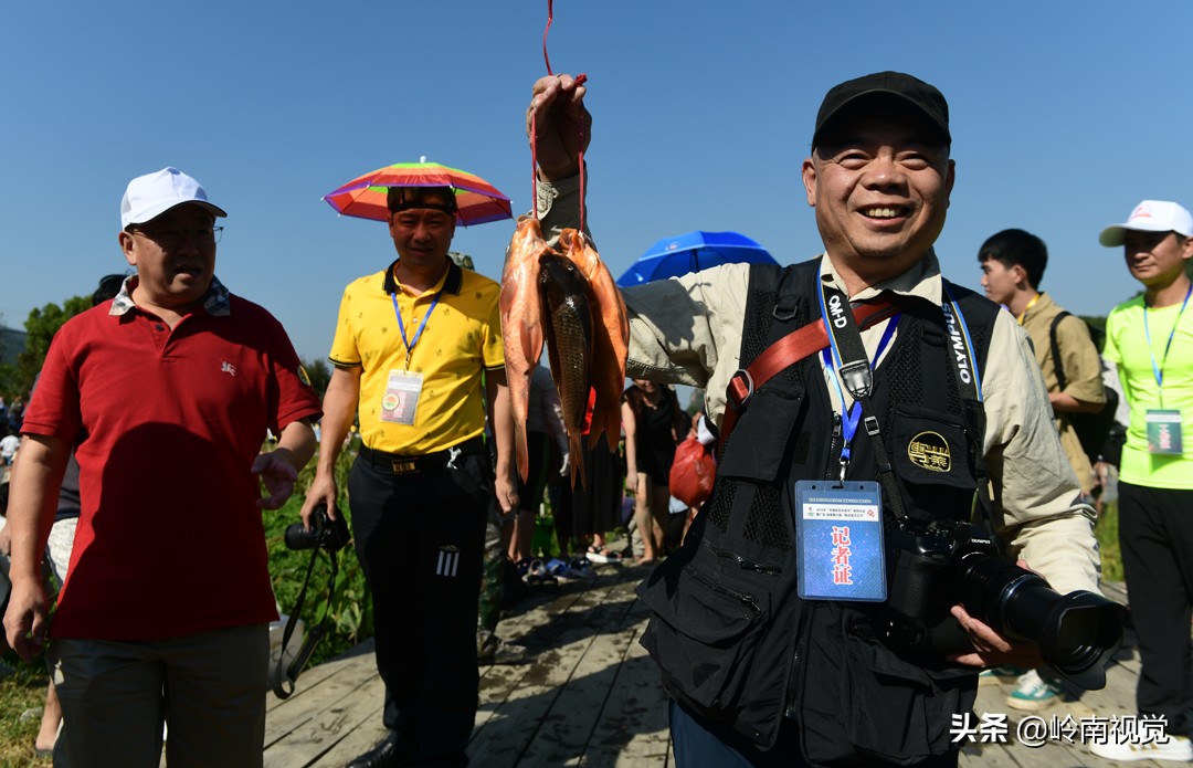 连南稻田鱼节效应显现,连南稻田鱼节开幕