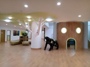 脑科学精准教育,教育脑科学课程