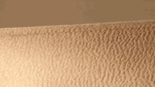 maxmara厚实又经典好看,maxmara凭什么惊艳了