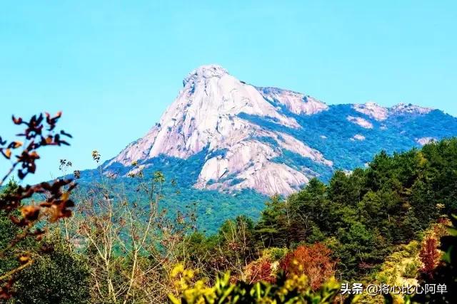 广东省十大战略性新兴产业,广东最具有投资潜力12个县