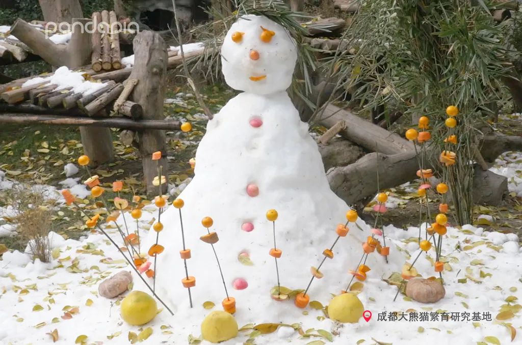 只要肯努力丑小鸭也能变成白天鹅,只要肯努力可以逆袭吗