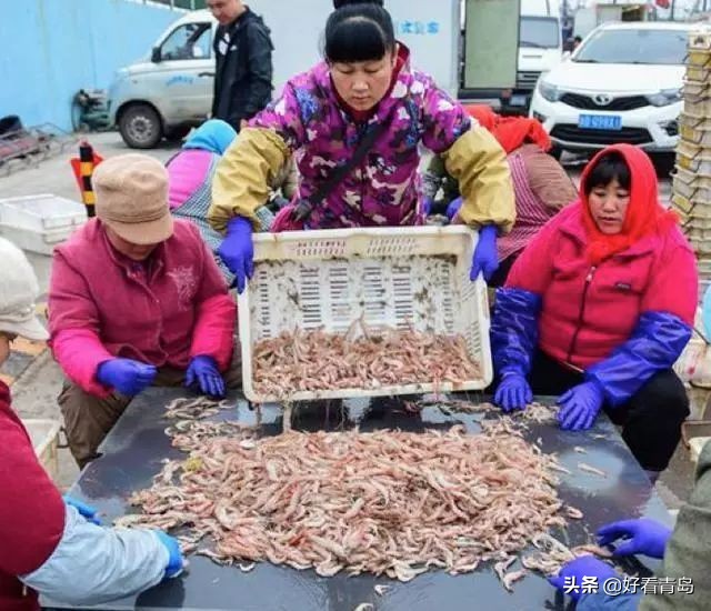 蛎虾的正确吃法,海蛎虾的正确吃法图解