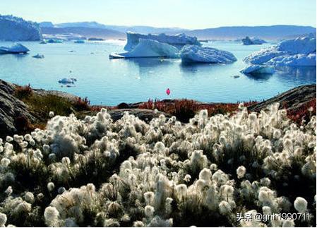 适合婚前旅游的地方,国内单身旅行推荐