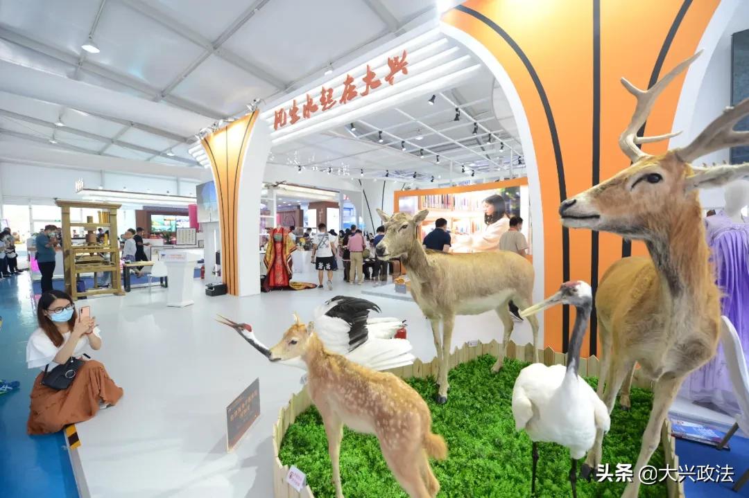 聚焦2023年服贸会新闻素材,大兴服贸会项目