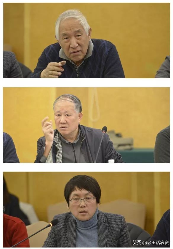 芭田股份90吨磷矿开采,芭田磷精矿