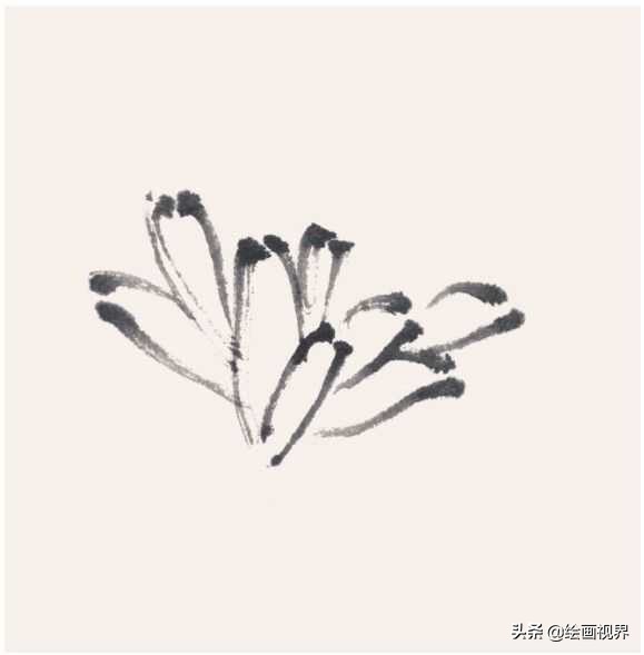 菊花花头国画画法和步骤,菊花花头写意画法教程