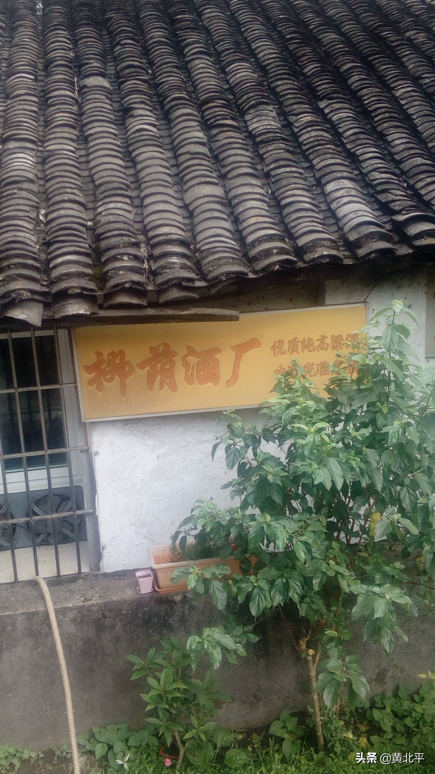 北碚柳荫老街,重庆北碚区柳荫合兴村