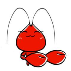 小龙虾养殖技术培训,小龙虾养殖技术学习加盟