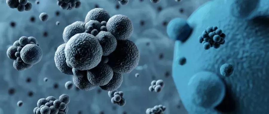 淋病感染多久才能治好吃什么药好,淋病最多几种抗生素联合治疗