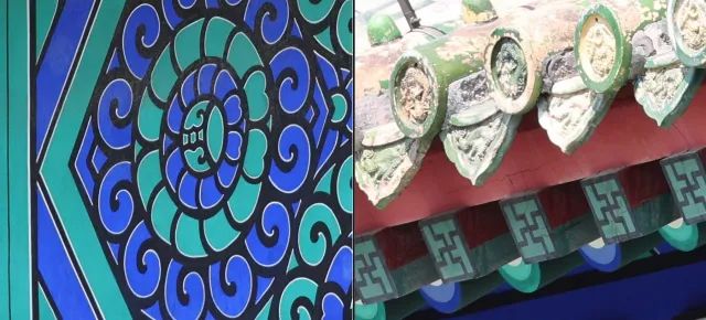 佳能rf100-500mm镜头拍鸟,佳能长焦相机100倍