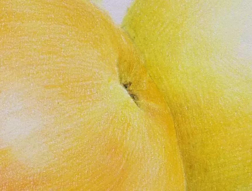 香梨彩铅画,彩铅肉肉的画法