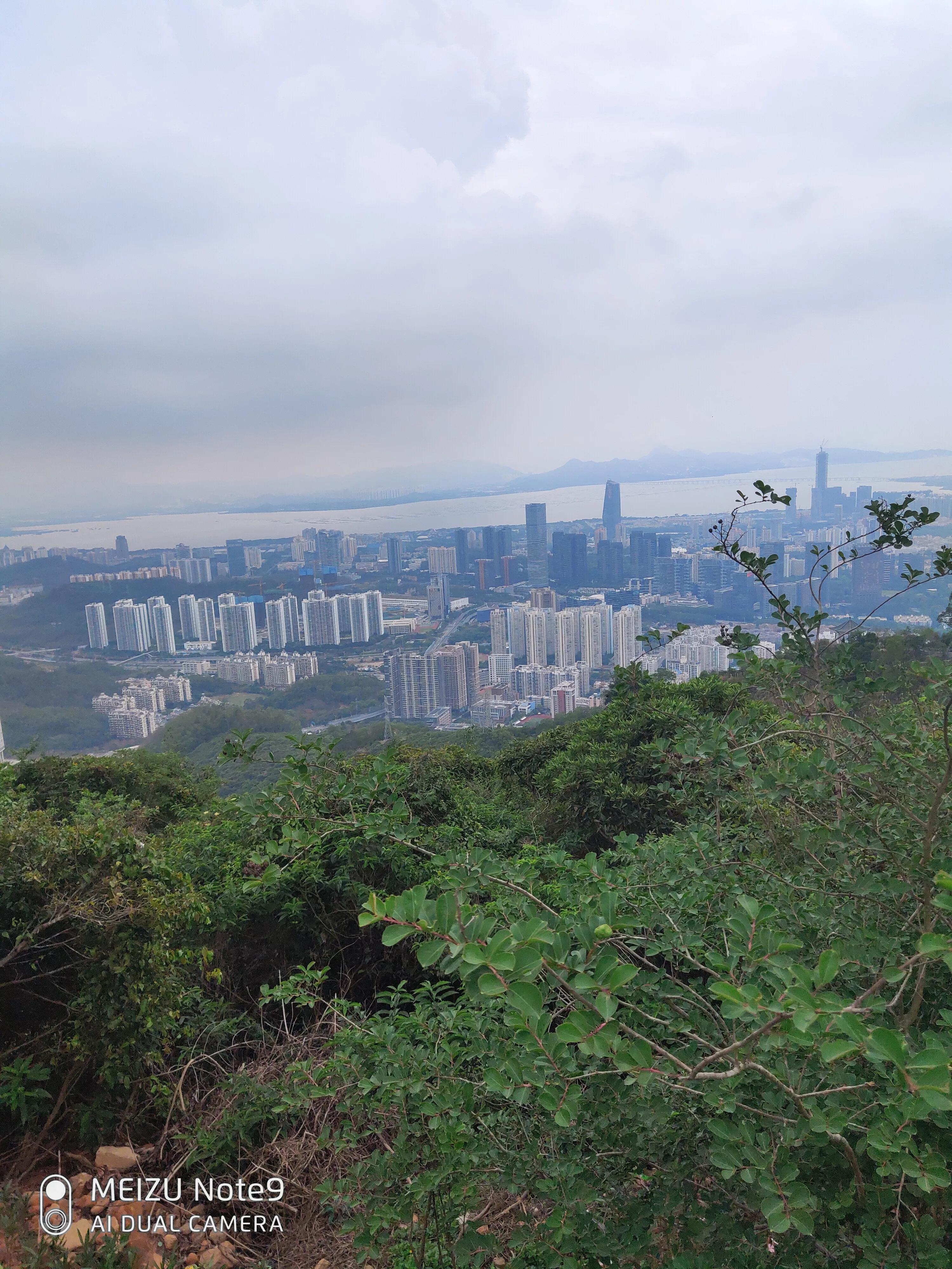 北人南渡体验桑海沧田