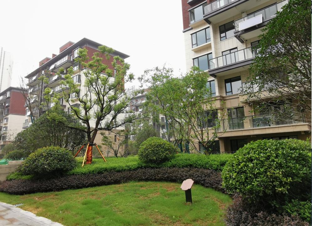 中国十大物业品牌排名,十大最强物业排名