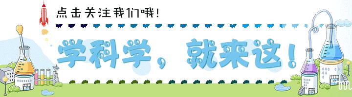 steam教育哪家比较好,steam教育是怎么样的