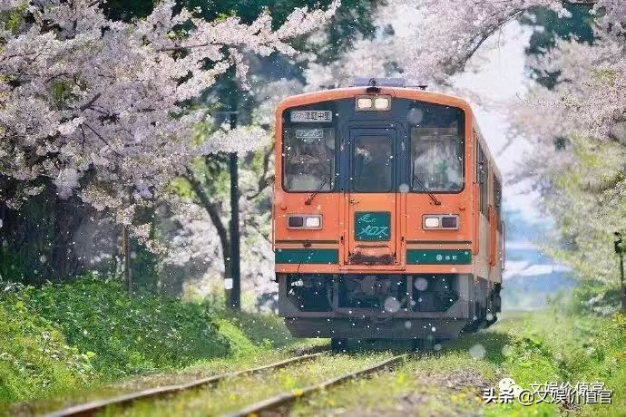 当赵薇闺蜜、和流量小生下午茶，文娱大咖为什么选择离开？