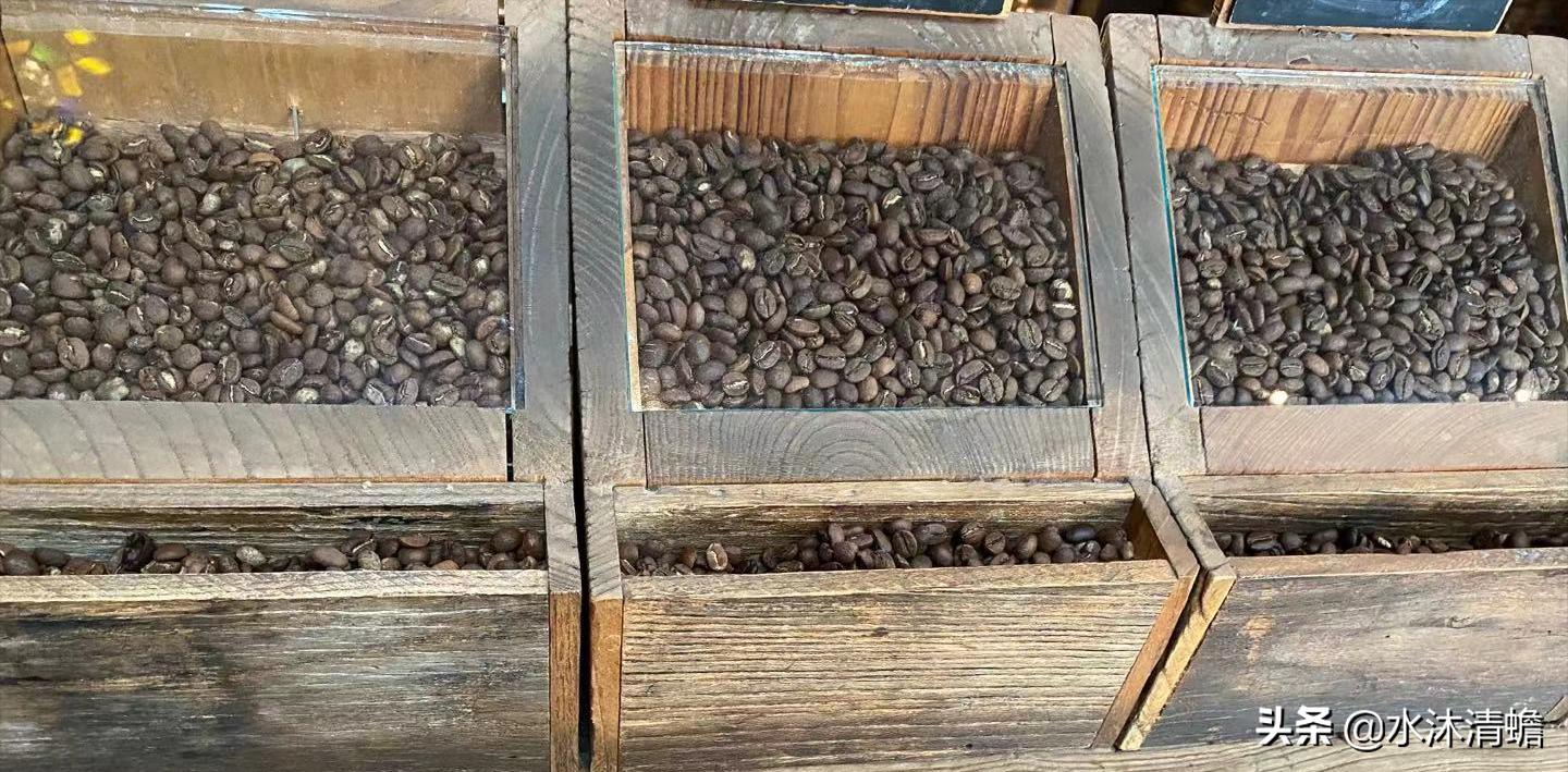 咖啡人生的作品,咖啡人生温州版