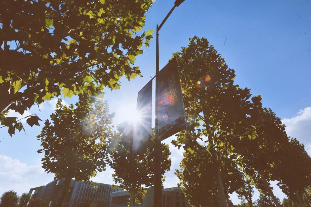 泰州职业技术学院招生咨询,泰州职业技术学院2019年招生简章