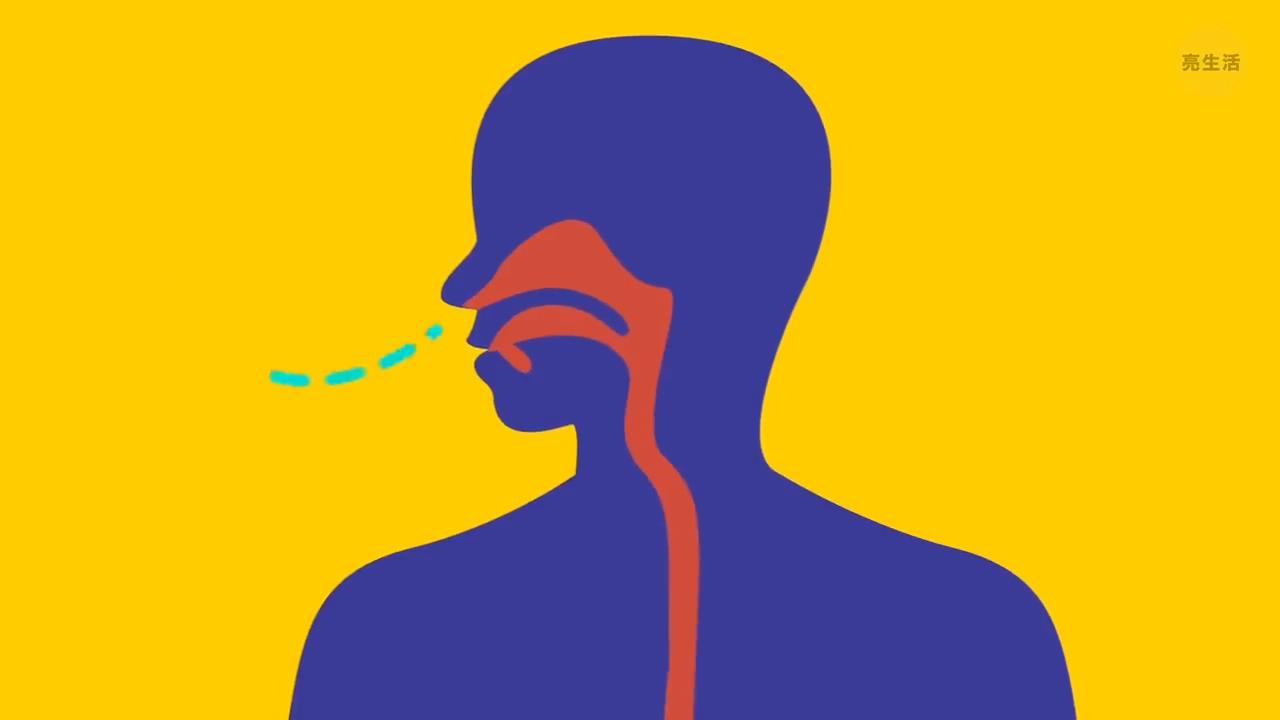 关于人体,大多数人还不知晓的15个事实