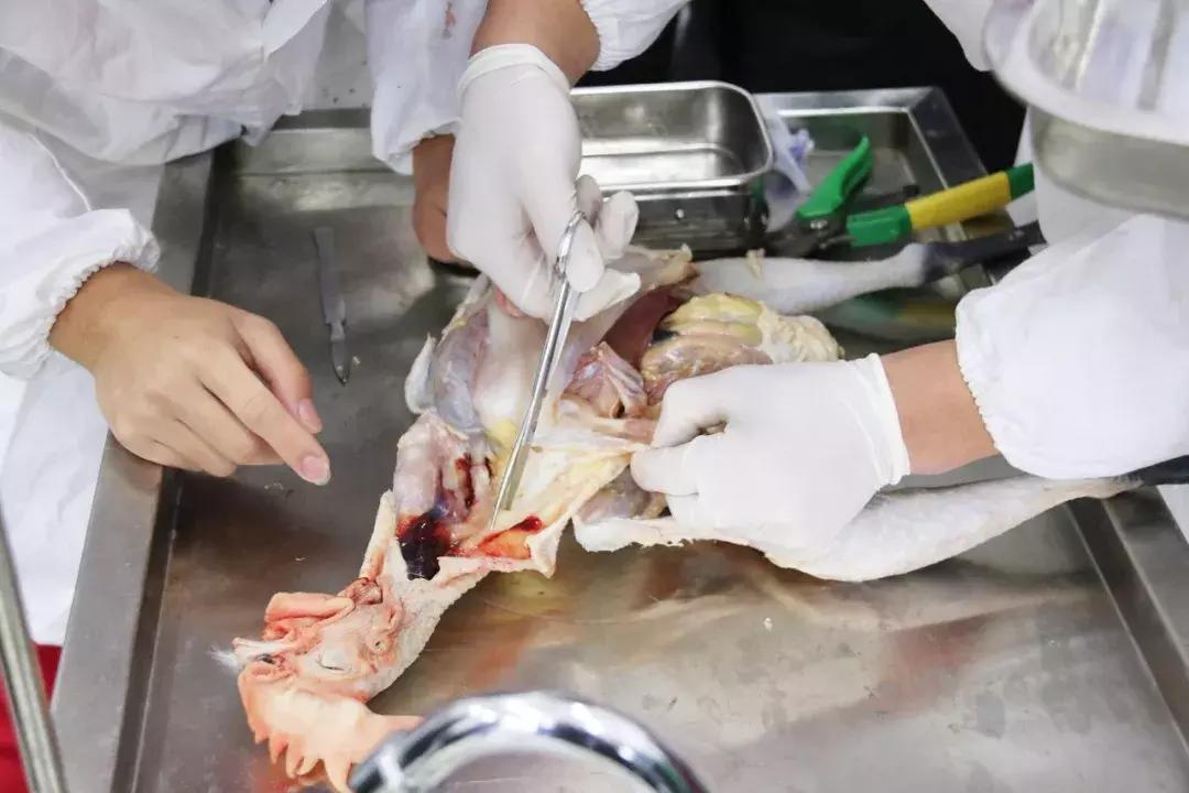 厉害了我们的新时代内容简介,松桃中等职业学校