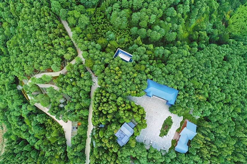 出门随处见绿，身边处处成景！看个旧如何实现“转型逆袭”→