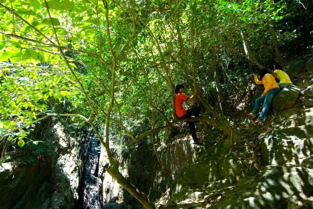 值得去的海岛城市 (更值得去的海岛)
