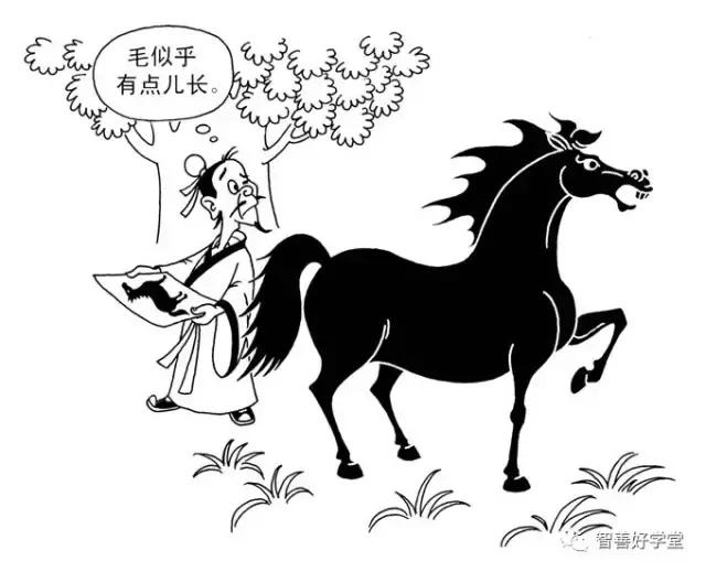 关于马的基本知识和方法,你知道吗关于马的一些小知识