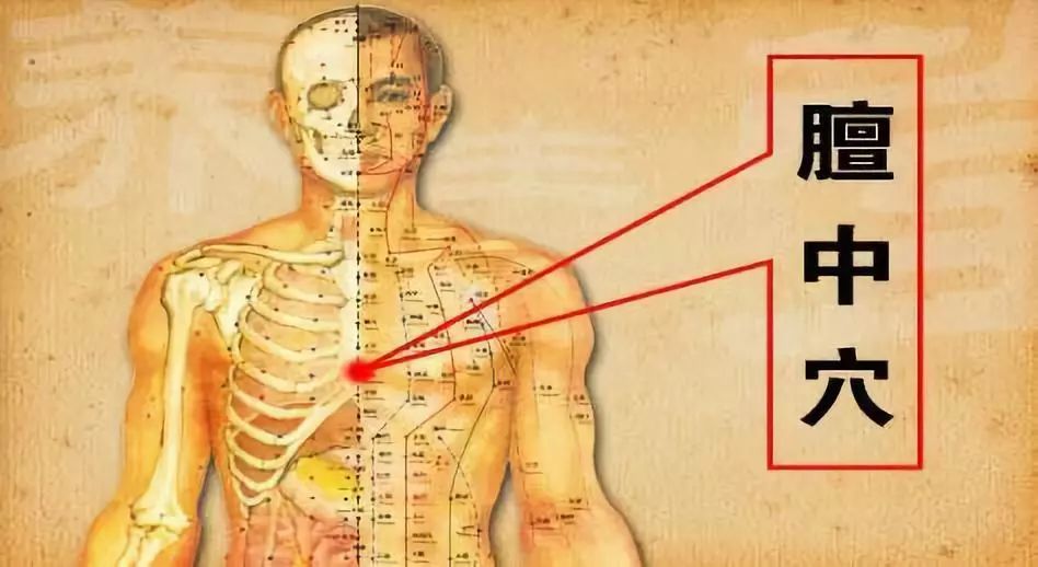 阳气不足如何提升阳气女性,阳气不足指的是哪个脏腑的阳气