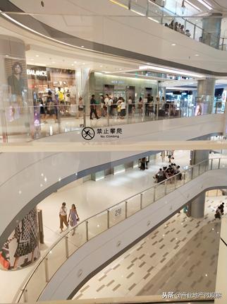 在成都看ifs熊猫,成都ifs上的爬墙大熊猫