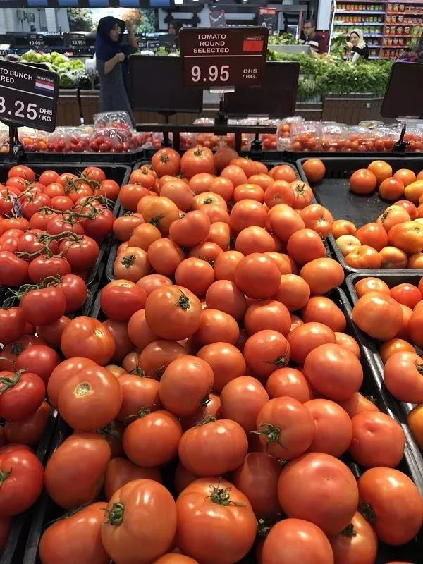 在迪拜生活到底贵不贵,迪拜打车贵不贵