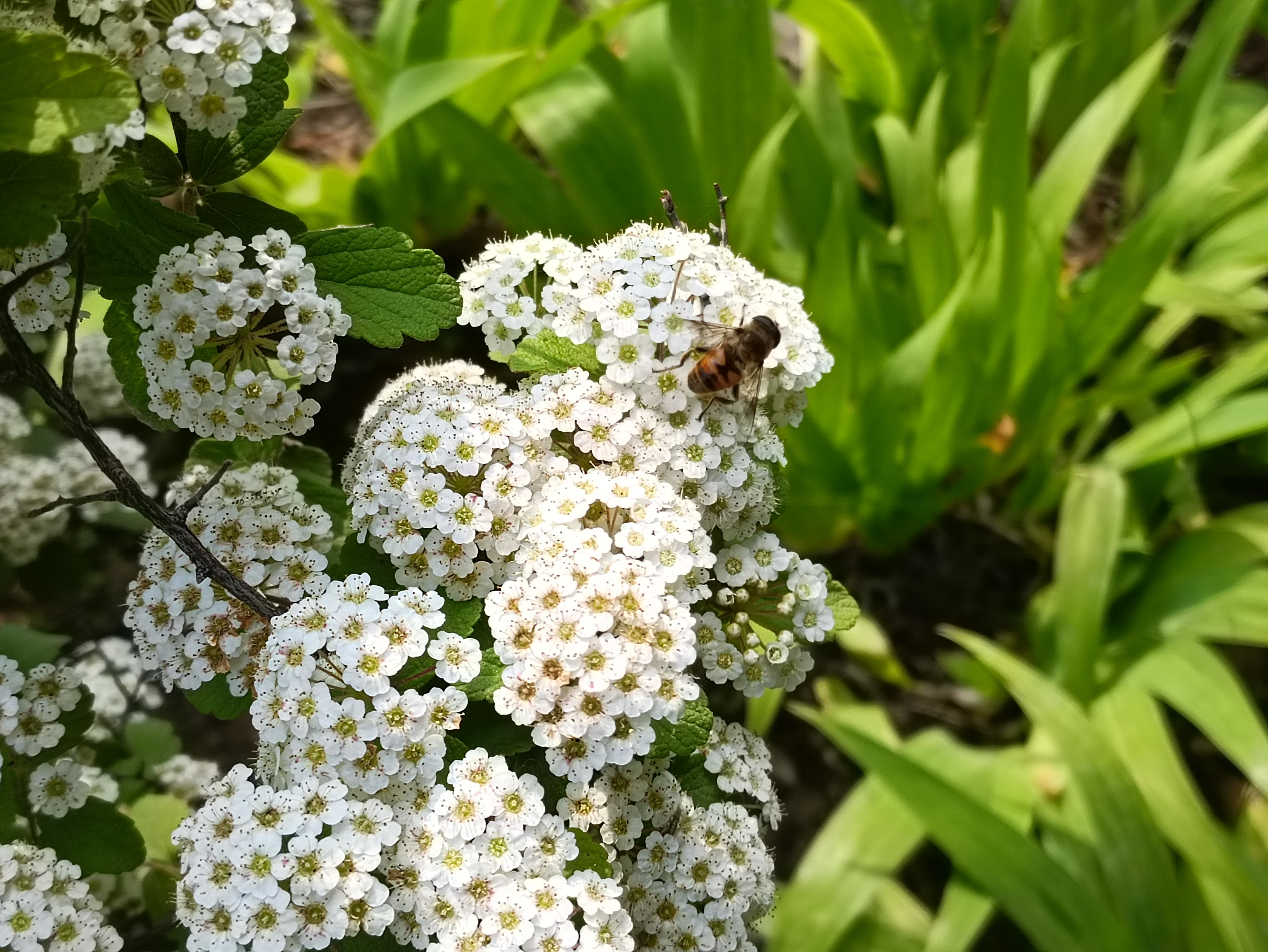 k40游戏增强版实际评价,k40游戏增强版测评是侧面指纹吗