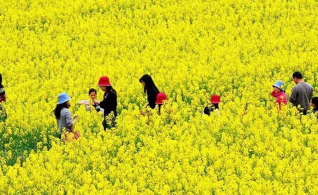 身份证410、411、412开头的,去了郑州就等于去了全世界