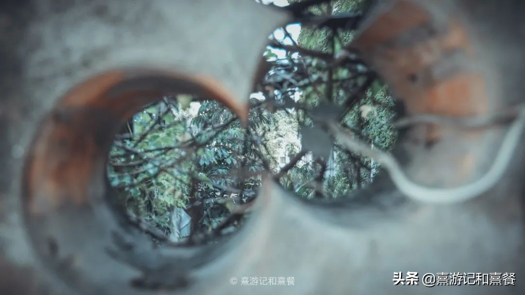 去厦门必须体验的六件事,送给第一次去厦门的五点建议