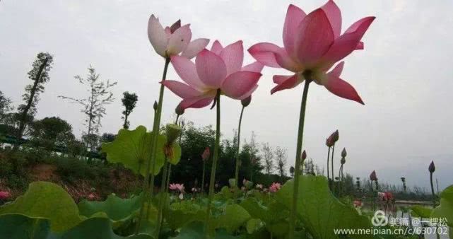 西乡周边景色美的地方,西乡哪里有夜景好看的