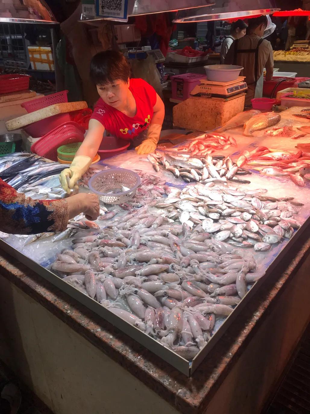 珠海斗门哪里海鲜便宜,吃货必去的海鲜城市