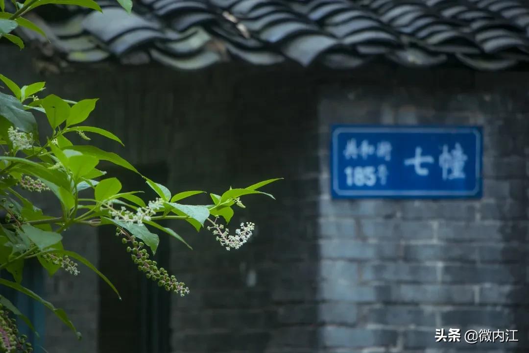 你好四川完整版,你好四川录音