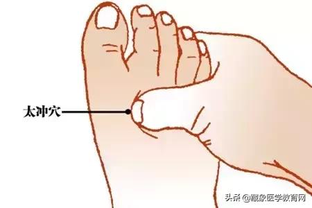 健康管理师需要哪些技巧,健康管理师基础知识100条