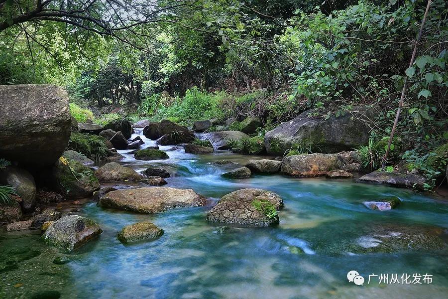 楂樻牎瀛︾敓鐪间腑鐨勫叡闈掑洟,楂樻牎鐢熺溂涓殑鏃朵唬鍙樿縼