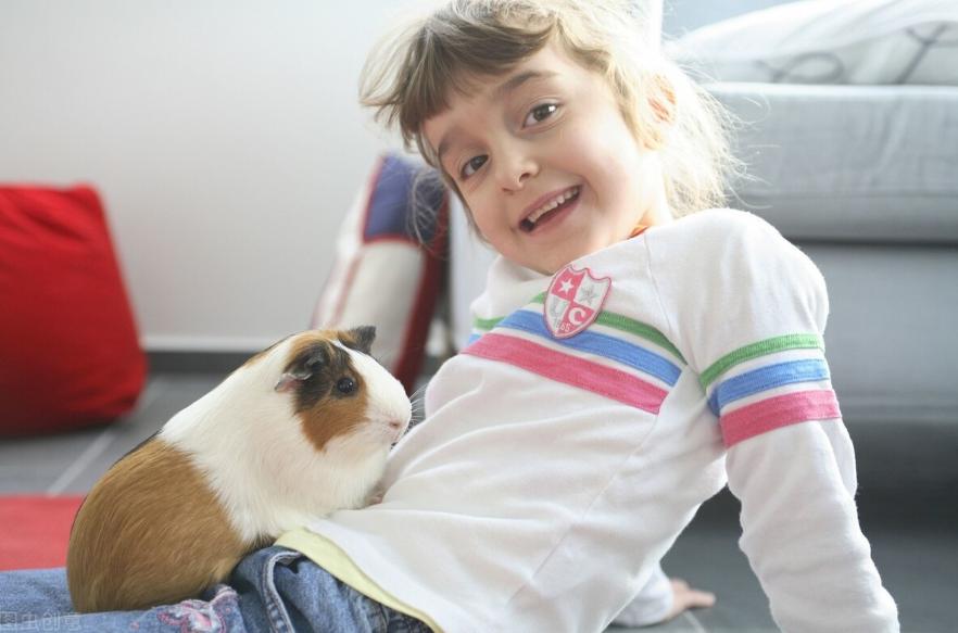 孩子被放鸽子家长怎么办,孩子养鸽子的原因