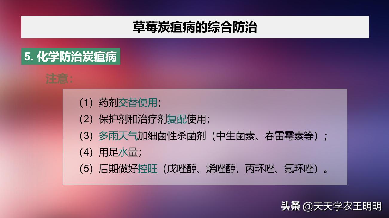 草莓得了炭疽病怎么办,草莓已经开花结果得炭疽病怎么治