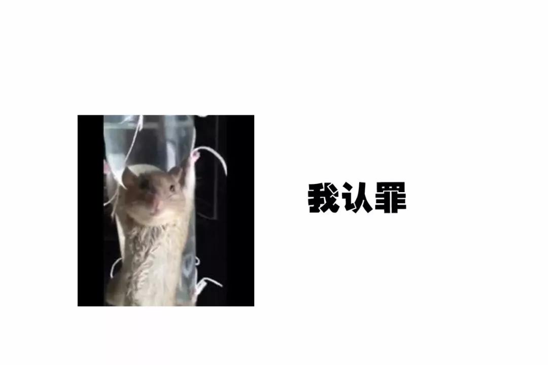 巴黎圣母院两个塔坍塌,一场大火毁了巴黎圣母院