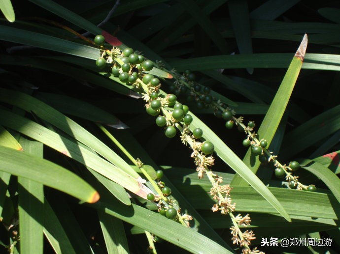 曲阜孔子诞生地尼山圣境,孔子诞生地曲阜尼山叫什么名字