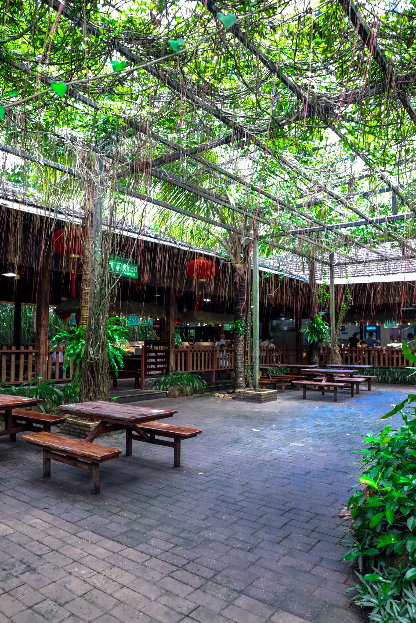 呀诺达雨林探险是什么,三亚呀诺达雨林正规吗