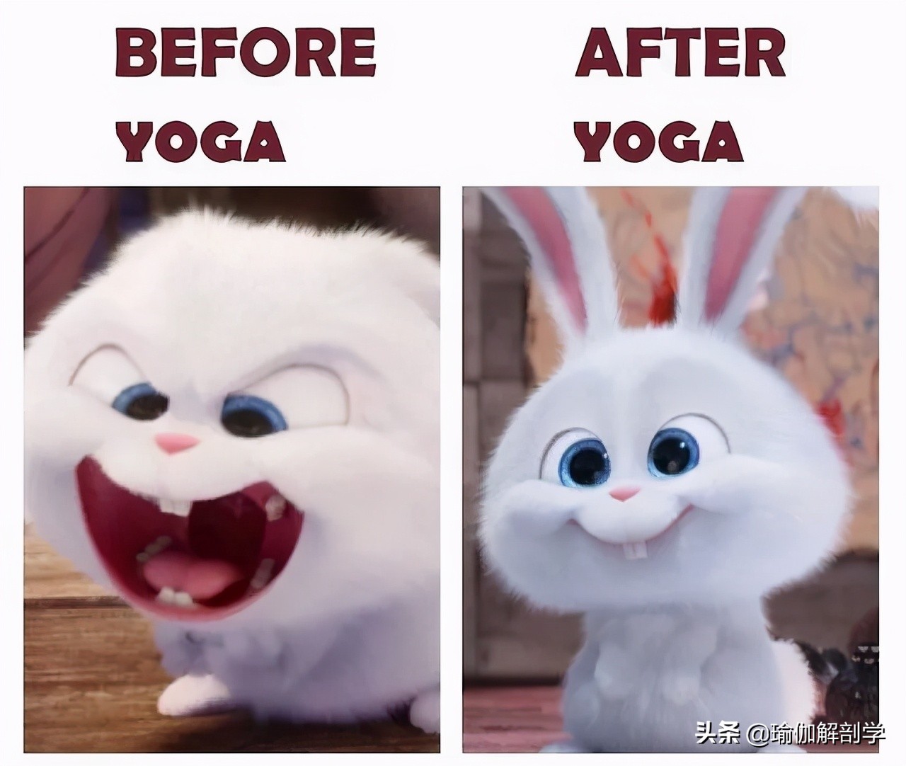 练瑜伽半年的感受太真实了,从零开始练瑜伽难不难