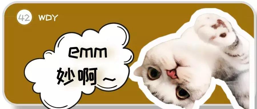 猫咪的动作都表示什么,猫咪的动作都代表什么呢